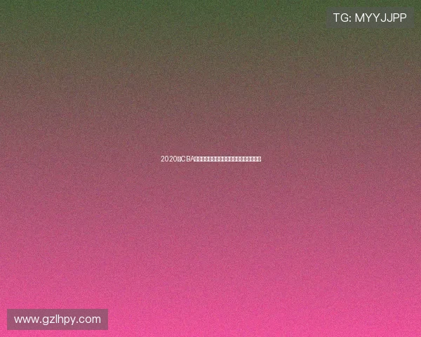 2020年CBA季后赛辽宁队与浙江队精彩对决回顾与分析